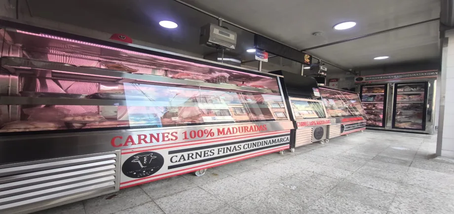 Nevera carnicera con bodega de congelación - miniatura 1